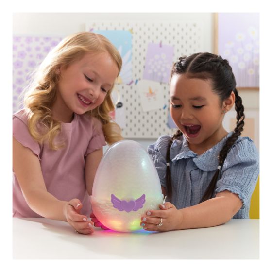 Hatchimals Mystery surprise eggs collectors Draggle