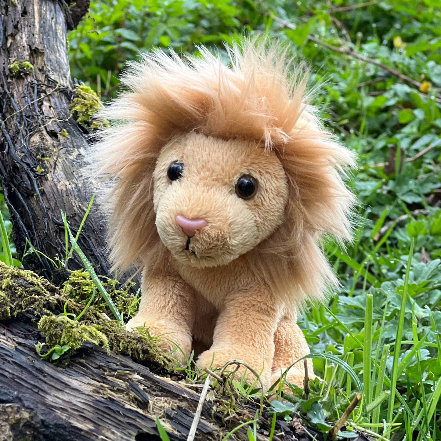 Charlie bear cuddle Lion £9.99 plus postage
